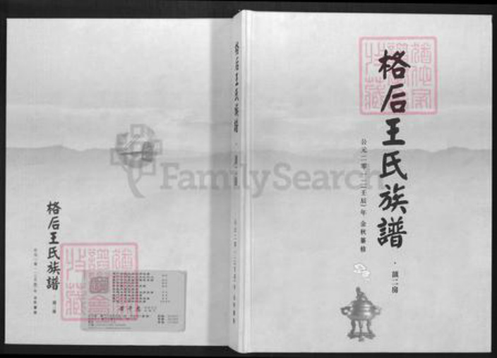 福建省泉州市南安市王氏普济堂族谱-格后王氏族谱.顶二房.pdf电子版插图