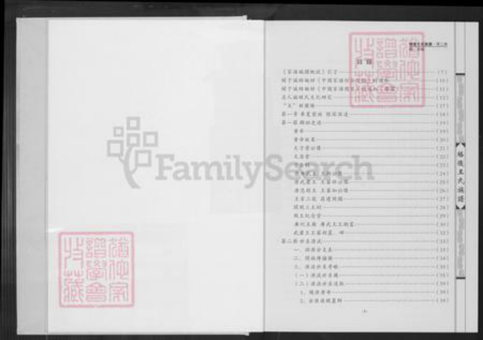 福建省泉州市南安市王氏普济堂族谱-格后王氏族谱.顶二房.pdf电子版插图2