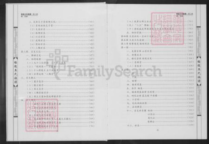 福建省泉州市南安市王氏普济堂族谱-格后王氏族谱.顶二房.pdf电子版插图3