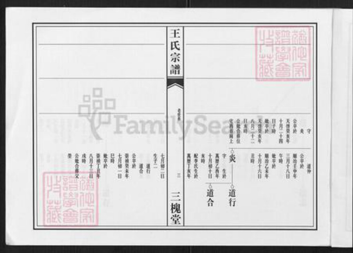 四川省德阳市中江县王氏三槐堂族谱-高店王氏宗谱.pdf电子版插图3