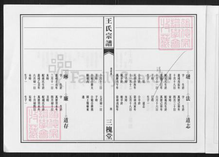 四川省德阳市中江县王氏三槐堂族谱-高店王氏宗谱.pdf电子版插图4