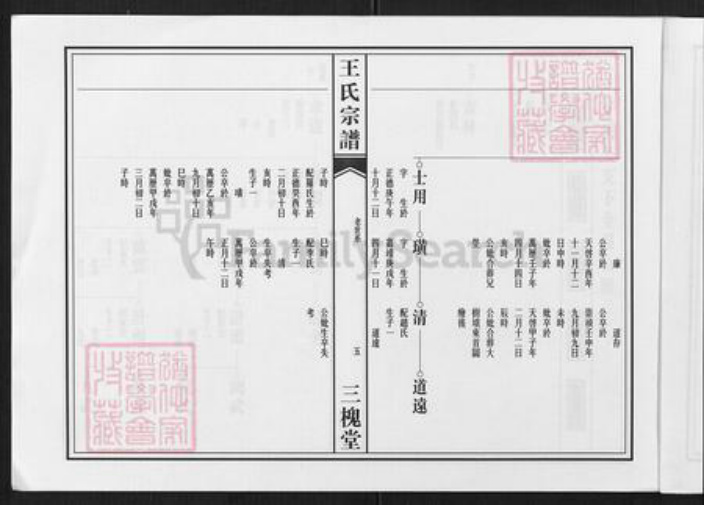 四川省德阳市中江县王氏三槐堂族谱-高店王氏宗谱.pdf电子版插图5