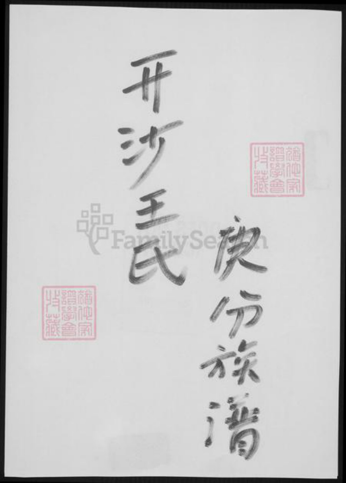 江苏省镇江市王氏族谱-开沙王氏庚分族谱.pdf电子版插图