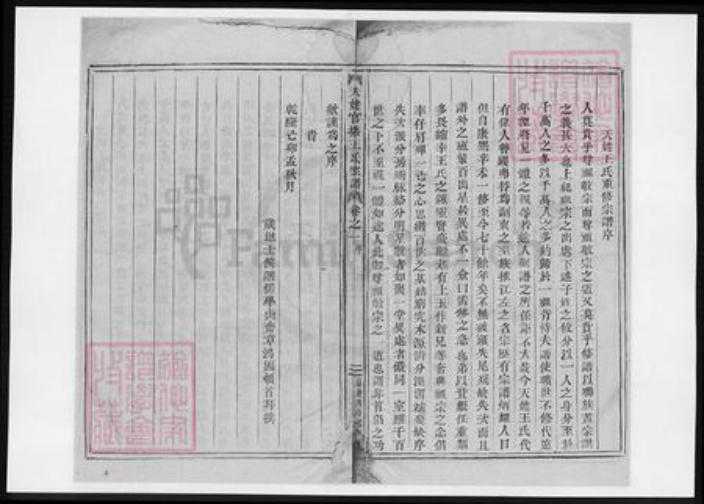 浙江省王氏族谱-天姥官塘王氏宗谱.pdf电子版插图3