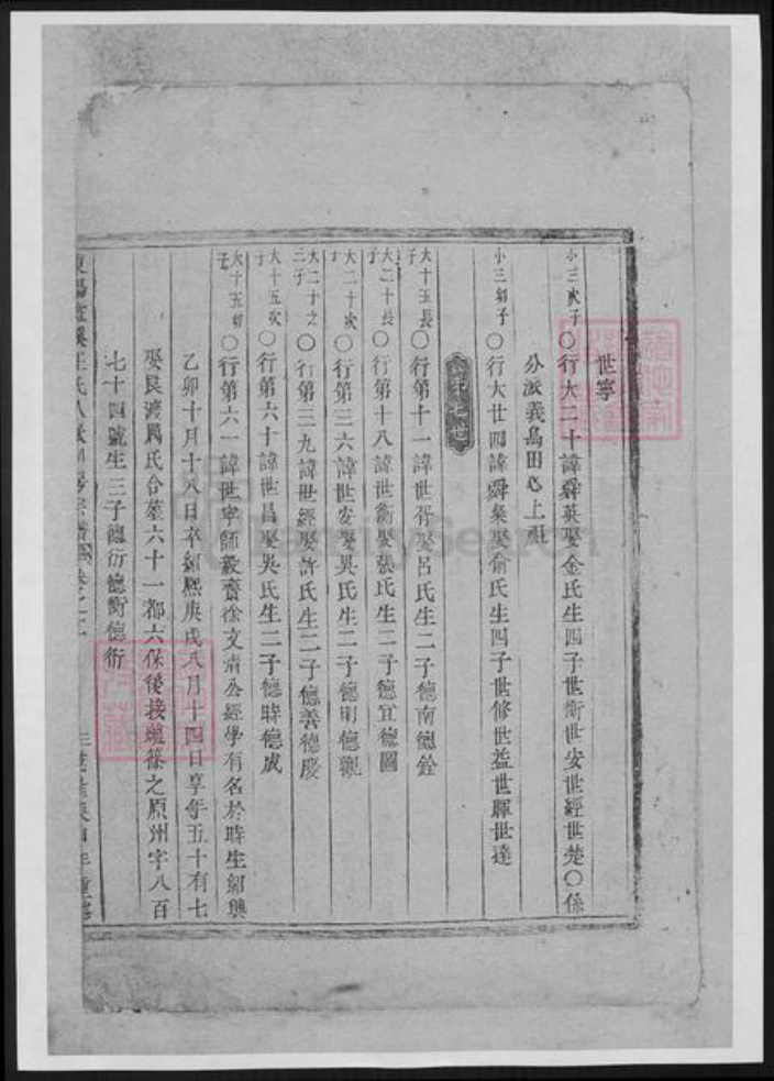 浙江省金华市王氏族谱-东阳画溪王氏人派同房宗谱.pdf电子版