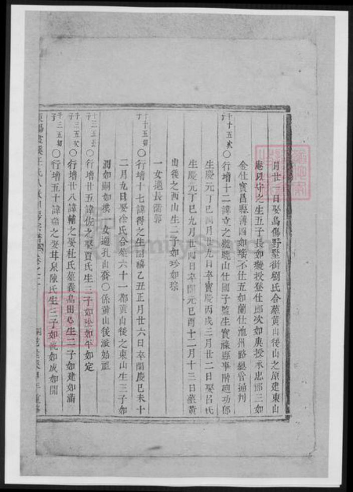 浙江省金华市王氏族谱-东阳画溪王氏人派同房宗谱.pdf电子版插图3