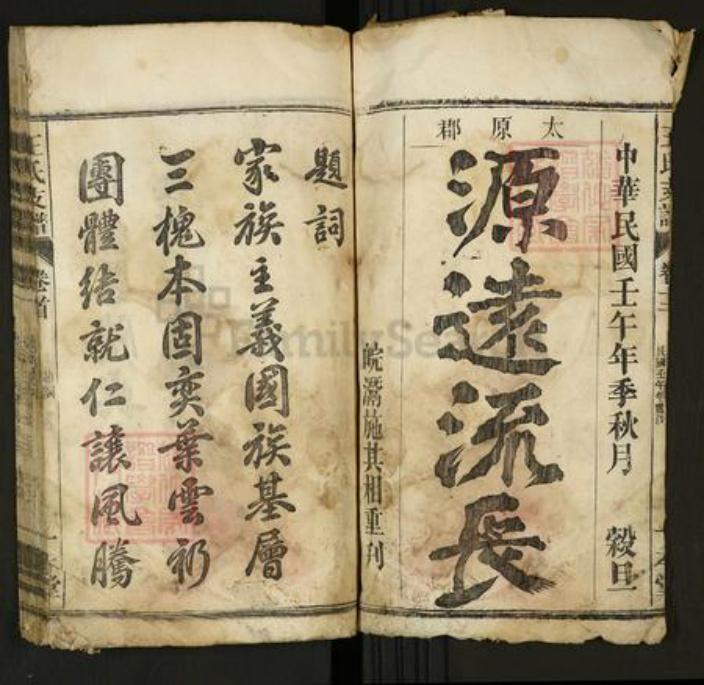 安徽省六安市舒城县王氏族谱-王氏支谱[12卷首1卷].pdf电子版插图1