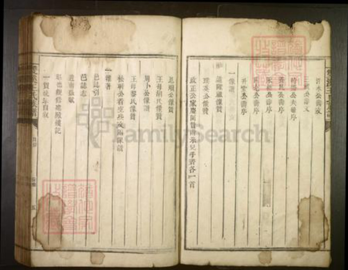 湖南省郴州市王氏族谱-双溪王氏族谱[不分卷].pdf电子版插图5
