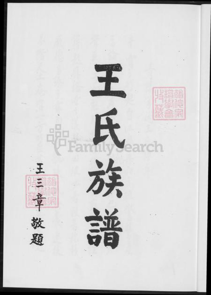 福建省泉州市福建省泉州市晋江市青阳街道王氏族谱-王氏族谱.pdf电子版插图2