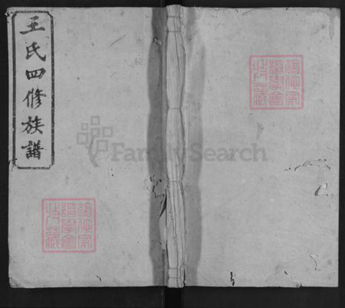 湖南省株洲市醴陵市醴陵王氏族谱-王氏四修族谱.pdf电子版插图