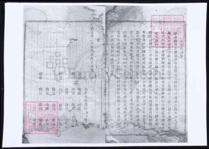 浙江省绍兴新昌县王氏族谱-天姥官塘王氏宗谱四.pdf电子版插图2