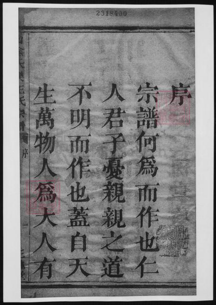 浙江省绍兴王氏族谱-山阴天乐王氏宗谱.pdf电子版插图2