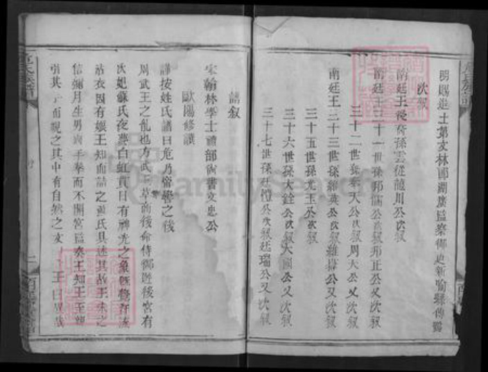 湖北省潜江市危氏南庭堂族谱-危氏宗谱.pdf电子版插图2