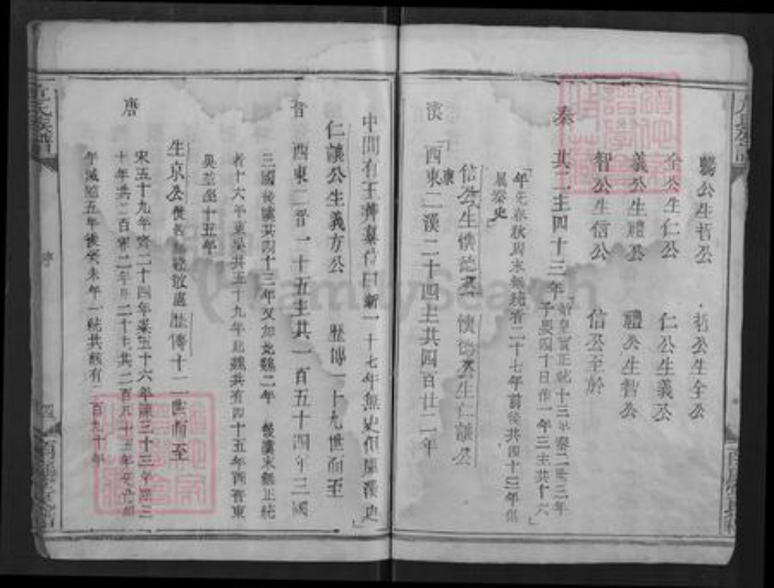 湖北省潜江市危氏南庭堂族谱-危氏宗谱.pdf电子版插图4