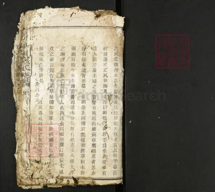 江西省赣州市瑞金市危氏族谱-瑞金县北门危氏族谱.pdf电子版插图1
