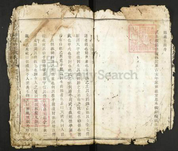 江西省赣州市瑞金市危氏族谱-瑞金县北门危氏族谱.pdf电子版插图4