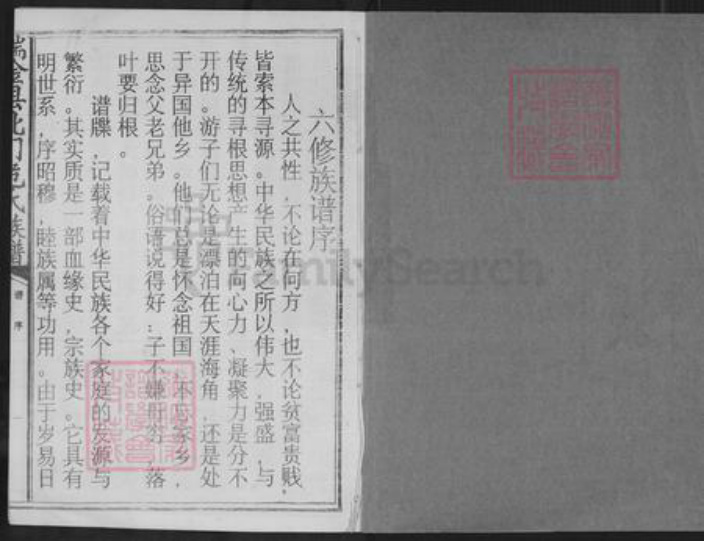 江西省赣州市瑞金市危氏族谱-瑞金县北门危氏族谱.pdf电子版插图1