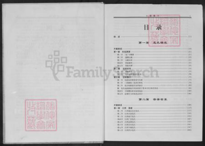 危氏族谱-危氏通考.pdf电子版插图4