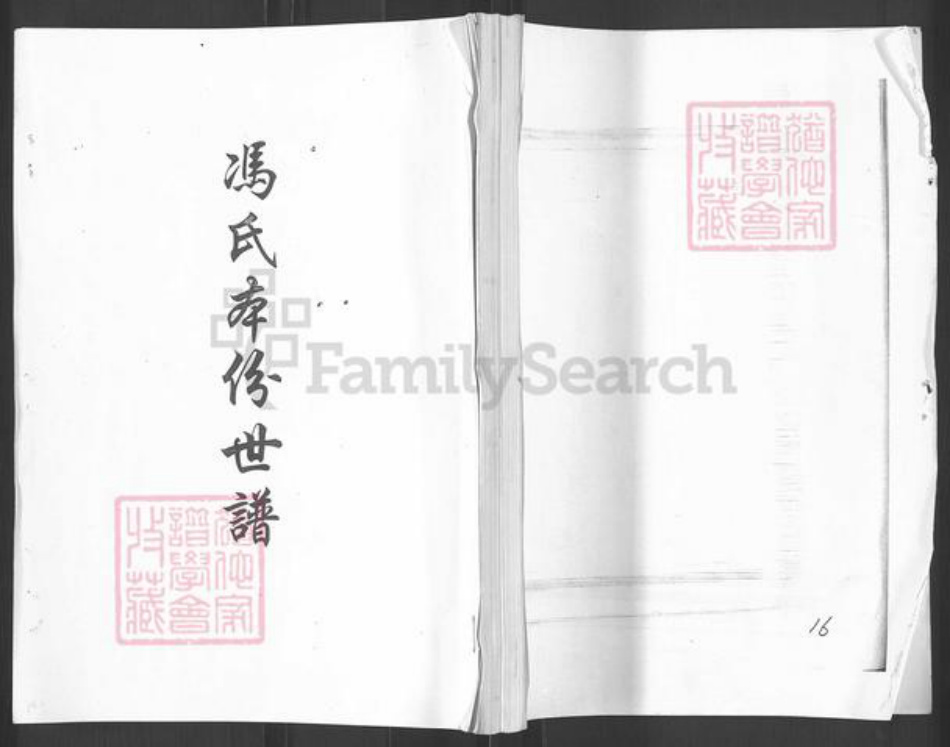 山东省烟台市栖霞市官道镇卫氏族谱-卫氏谱书.pdf电子版插图