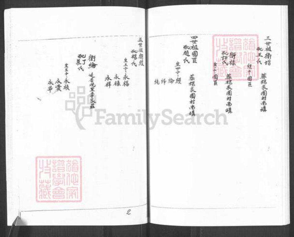 山东省烟台市栖霞市官道镇卫氏族谱-卫氏谱书.pdf电子版插图3