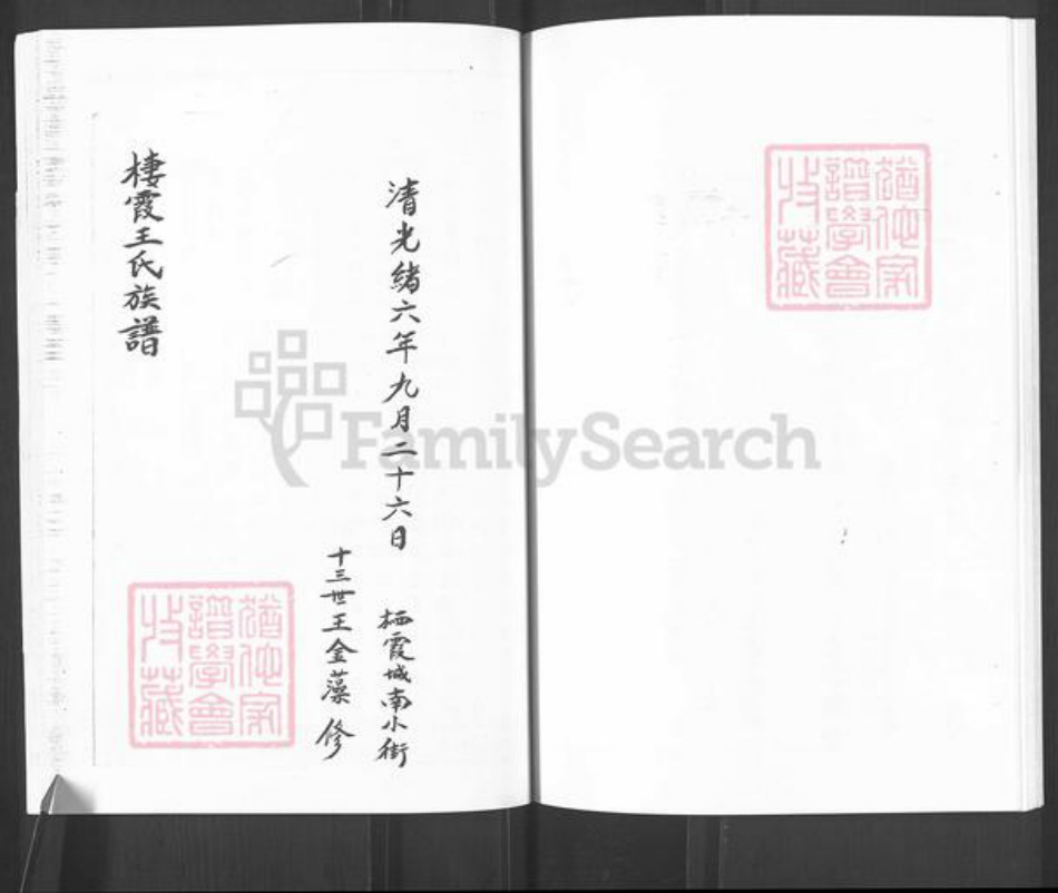 山东省烟台市栖霞市官道镇卫氏族谱-卫氏谱书.pdf电子版插图5