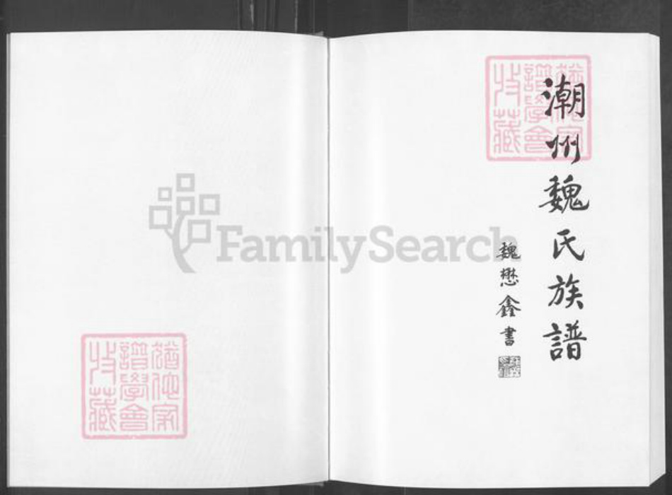 广东省揭阳市榕城区渔湖镇魏氏族谱-潮州魏氏族谱.pdf电子版插图2 广东省揭阳市榕城区渔湖镇魏氏族谱-潮州魏氏族谱.pdf电子版插图2