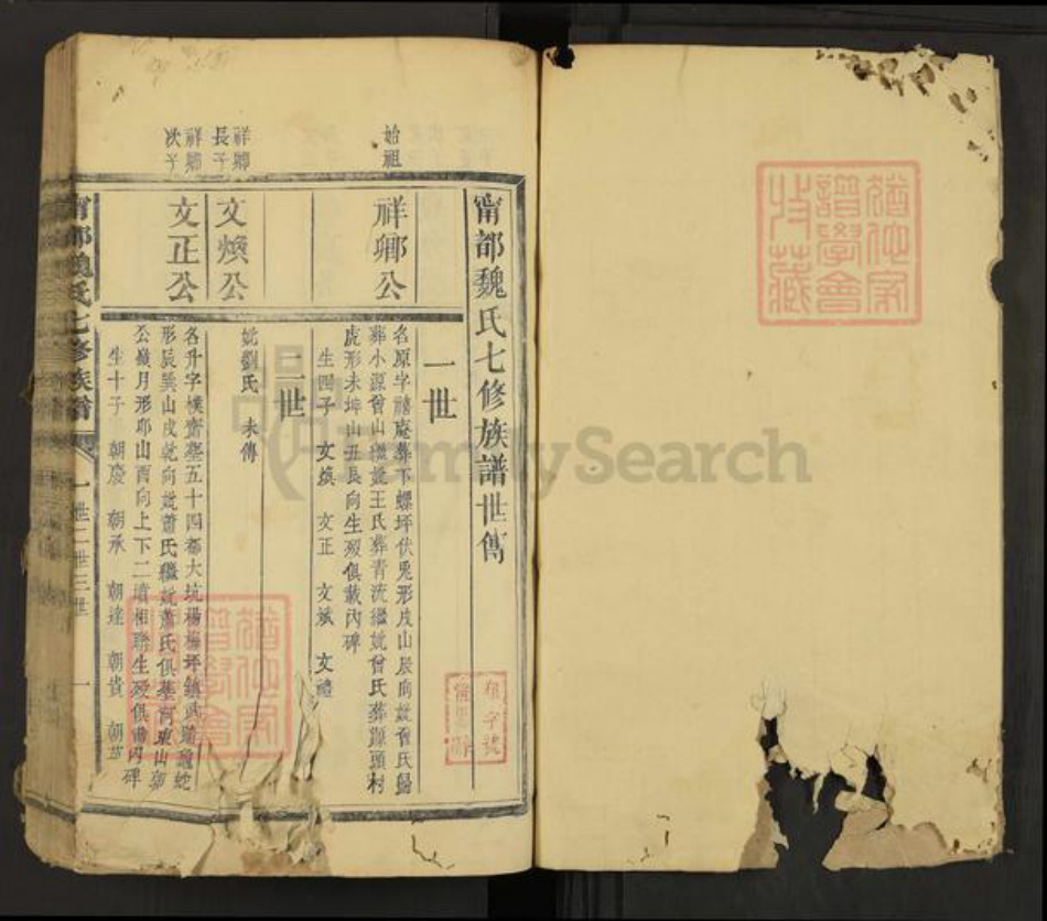 江西省赣州市宁都县魏氏族谱-宁都魏氏七修族谱.pdf电子版插图1