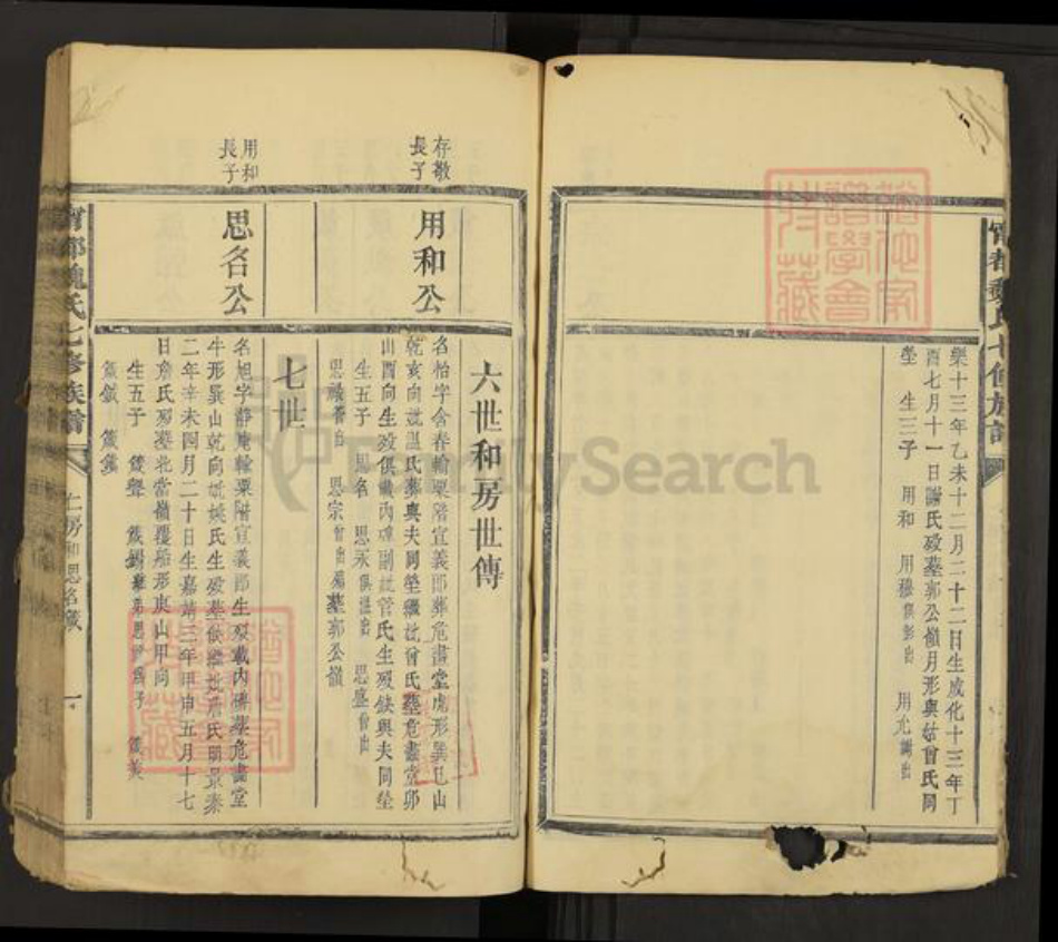 江西省赣州市宁都县魏氏族谱-宁都魏氏七修族谱.pdf电子版插图4