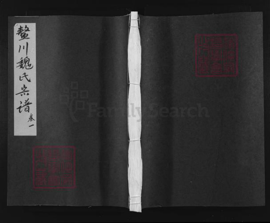 浙江省衢州常山县魏氏族谱-鳌川魏氏宗谱.pdf电子版插图