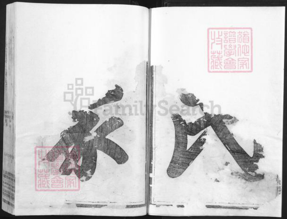 浙江省衢州常山县魏氏族谱-鳌川魏氏宗谱.pdf电子版插图2