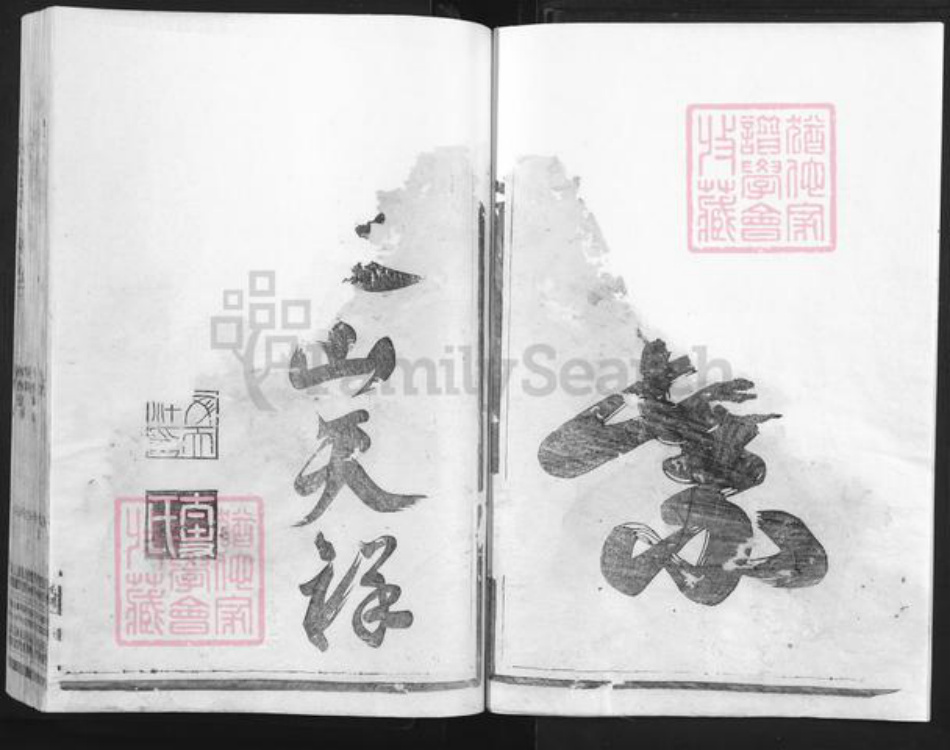 浙江省衢州常山县魏氏族谱-鳌川魏氏宗谱.pdf电子版插图3