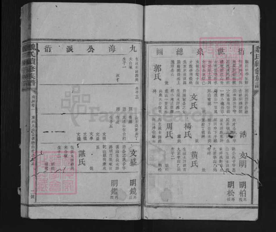 湖南省益阳市安化县东坪镇魏氏族谱-魏氏续修族谱.pdf电子版插图2