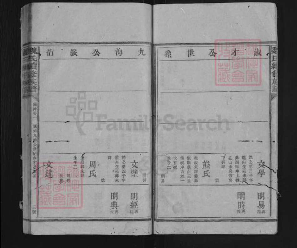 湖南省益阳市安化县东坪镇魏氏族谱-魏氏续修族谱.pdf电子版插图3
