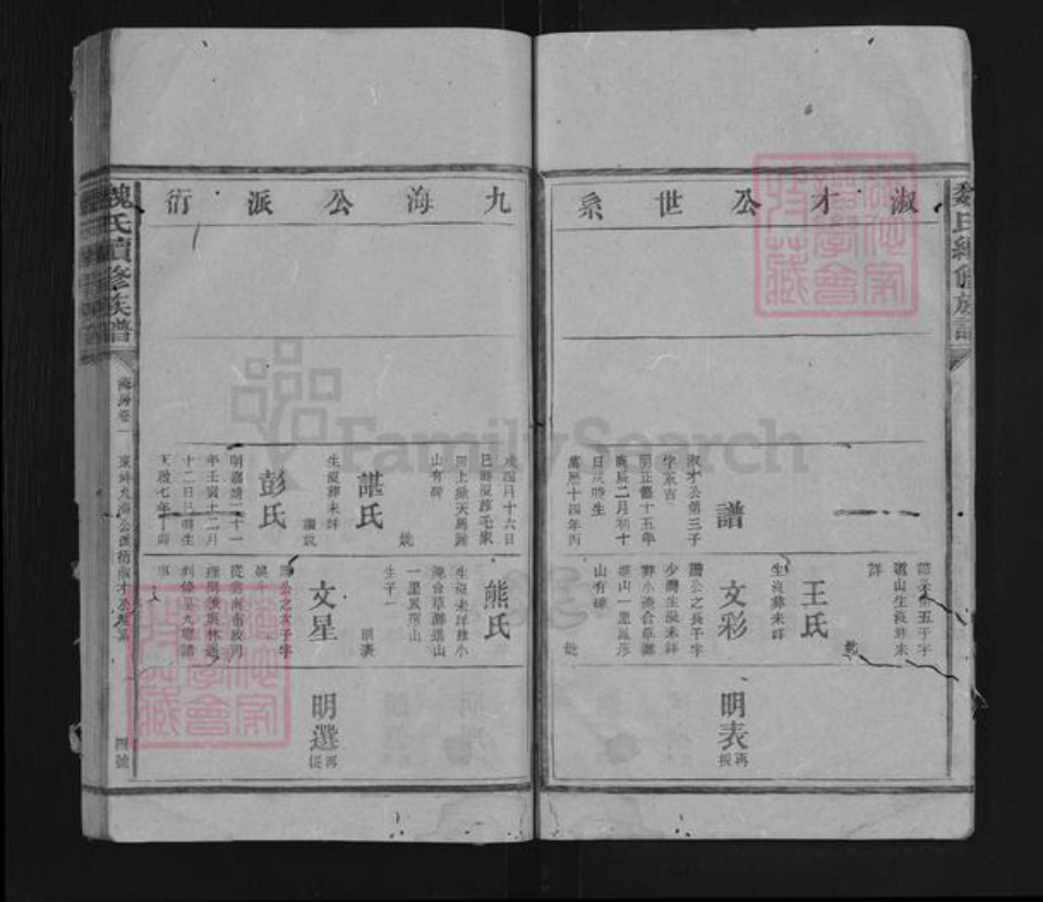湖南省益阳市安化县东坪镇魏氏族谱-魏氏续修族谱.pdf电子版插图4