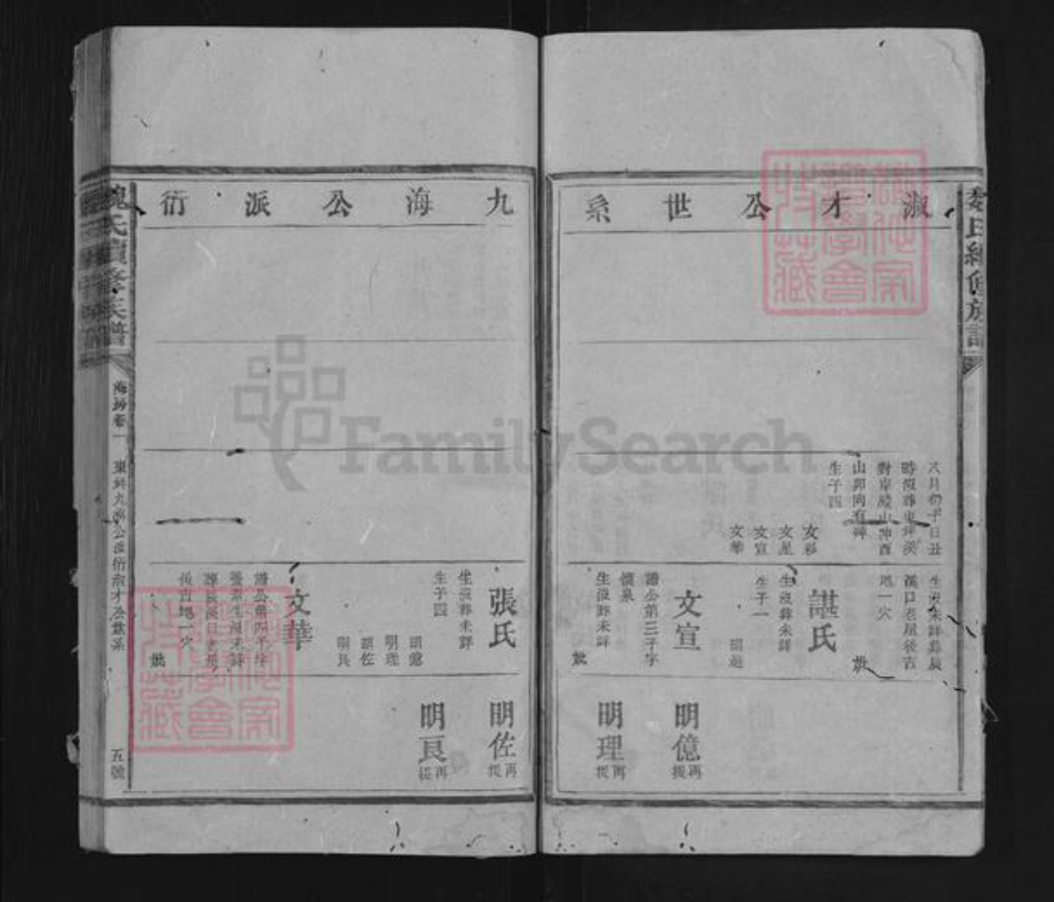 湖南省益阳市安化县东坪镇魏氏族谱-魏氏续修族谱.pdf电子版插图5