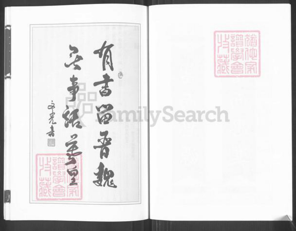 广东省揭阳市榕城区魏氏族谱-潮籍魏氏梅兜先熙公世系族谱.pdf电子版插图3