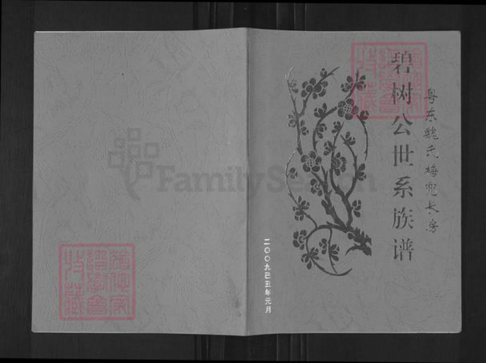 广东省揭阳市榕城区魏氏族谱-碧树公世系族谱粤东魏氏梅兜长房.pdf电子版插图
