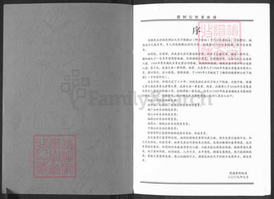 广东省揭阳市榕城区魏氏族谱-碧树公世系族谱粤东魏氏梅兜长房.pdf电子版插图1