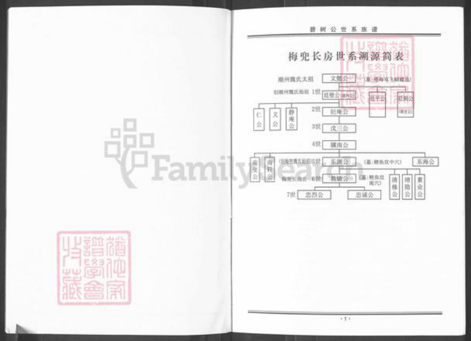 广东省揭阳市榕城区魏氏族谱-碧树公世系族谱粤东魏氏梅兜长房.pdf电子版插图2