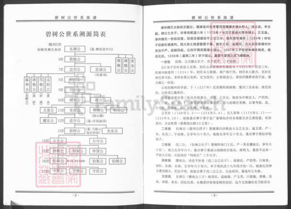 广东省揭阳市榕城区魏氏族谱-碧树公世系族谱粤东魏氏梅兜长房.pdf电子版插图3