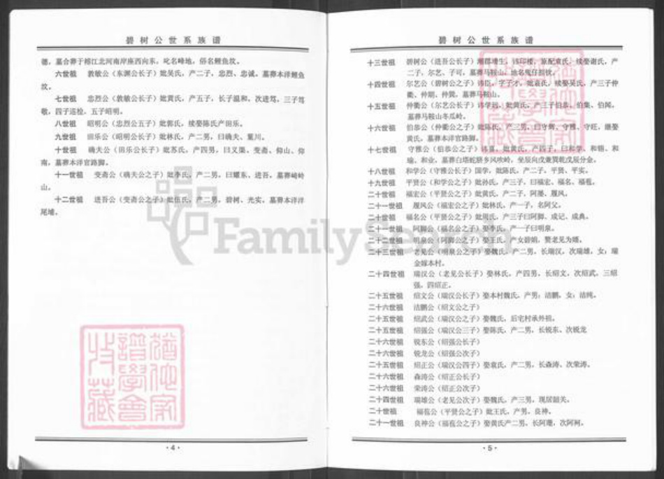 广东省揭阳市榕城区魏氏族谱-碧树公世系族谱粤东魏氏梅兜长房.pdf电子版插图4