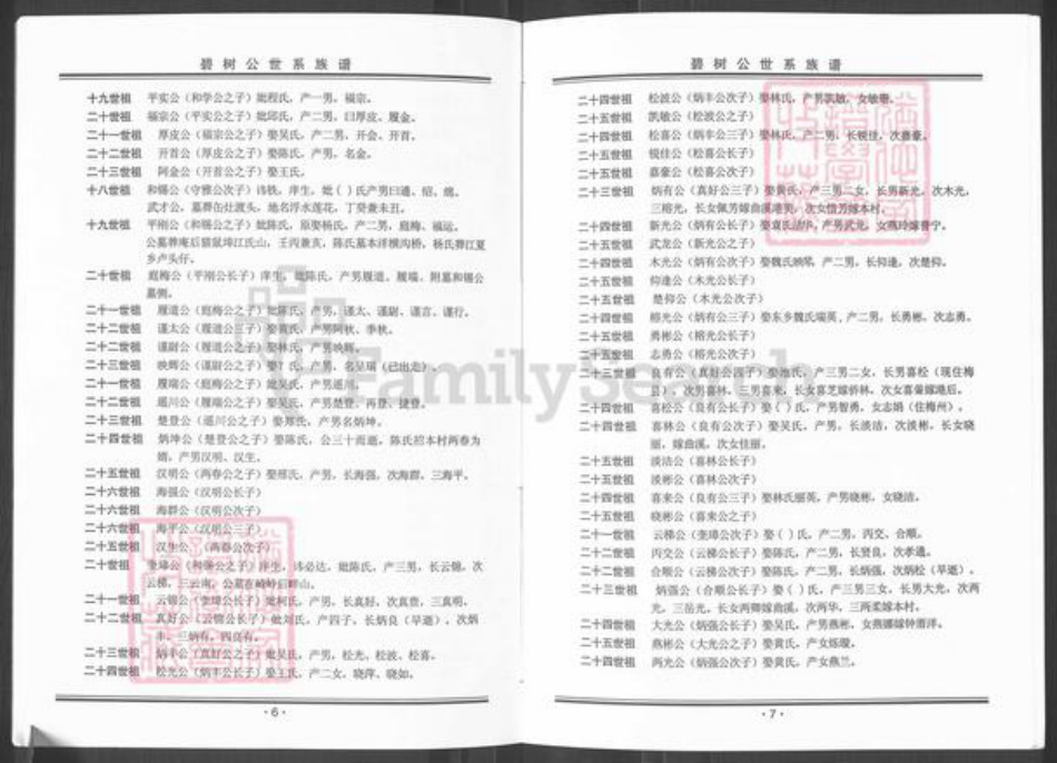 广东省揭阳市榕城区魏氏族谱-碧树公世系族谱粤东魏氏梅兜长房.pdf电子版插图5