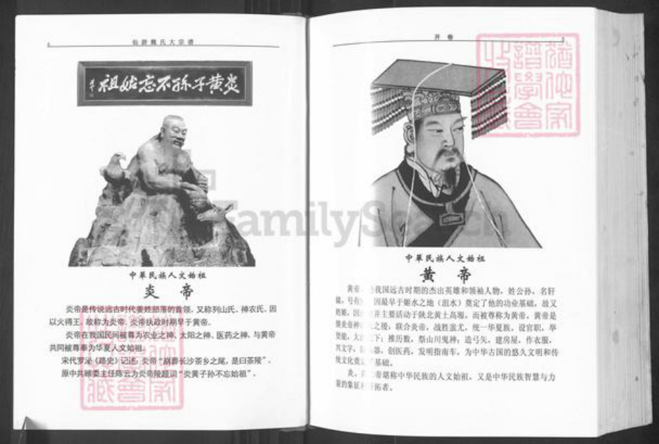 福建省莆田市仙游县枫亭镇魏氏巨鹿堂族谱-仙游魏氏大宗谱.pdf电子版插图3