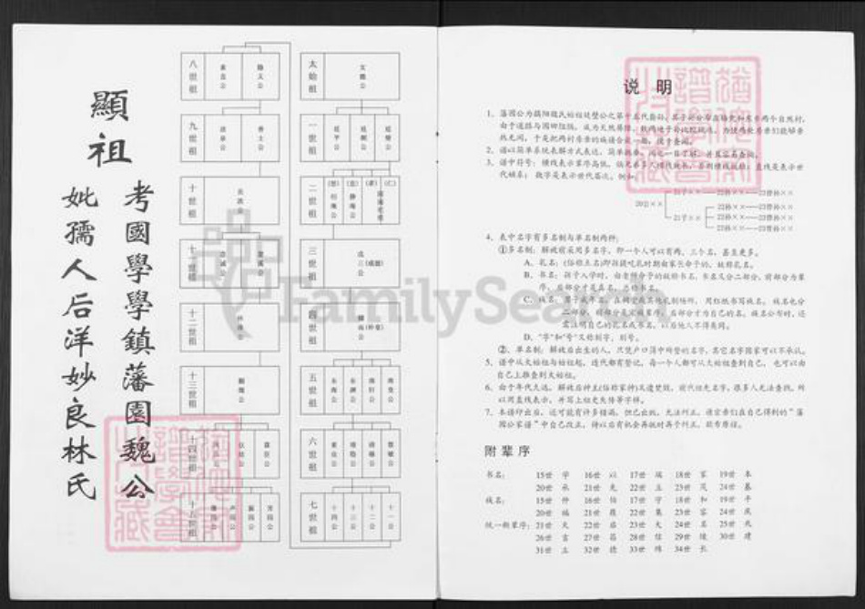 广东省揭阳市榕城区魏氏族谱-藩园公家谱.pdf电子版插图1