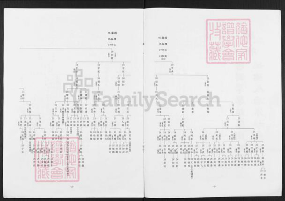 广东省揭阳市榕城区魏氏族谱-藩园公家谱.pdf电子版插图2