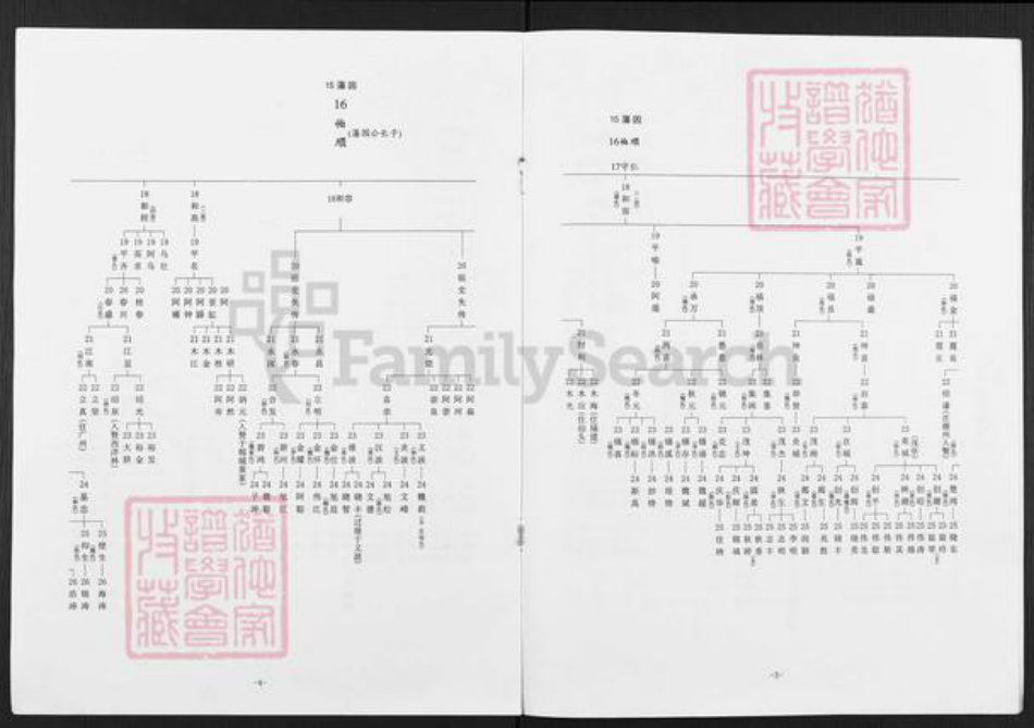广东省揭阳市榕城区魏氏族谱-藩园公家谱.pdf电子版插图3