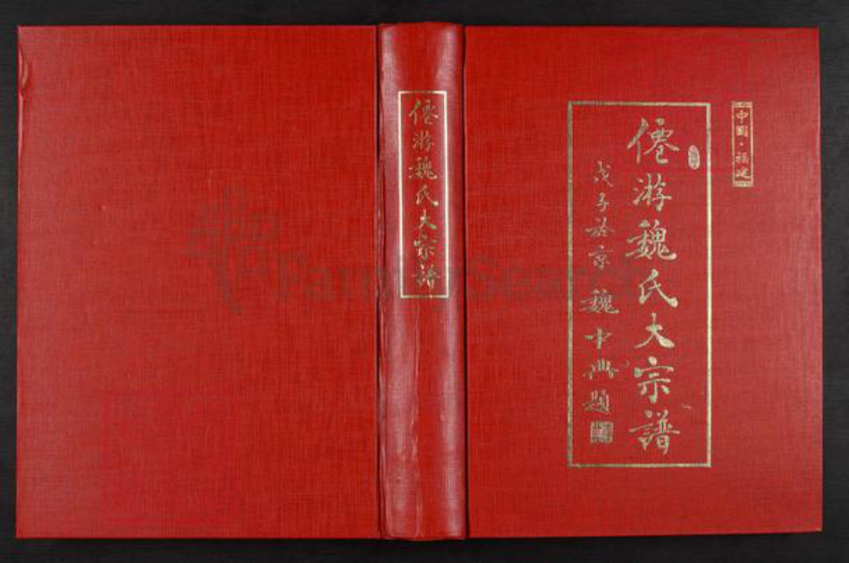 福建省莆田市仙游县书峰乡魏氏族谱-仙游魏氏大宗谱.pdf电子版插图