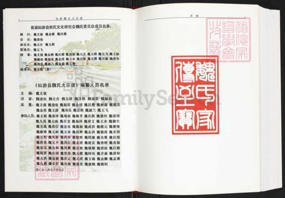 福建省莆田市仙游县书峰乡魏氏族谱-仙游魏氏大宗谱.pdf电子版插图2