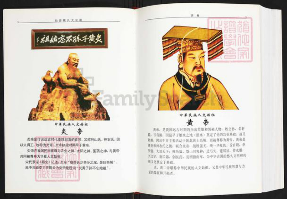 福建省莆田市仙游县书峰乡魏氏族谱-仙游魏氏大宗谱.pdf电子版插图3