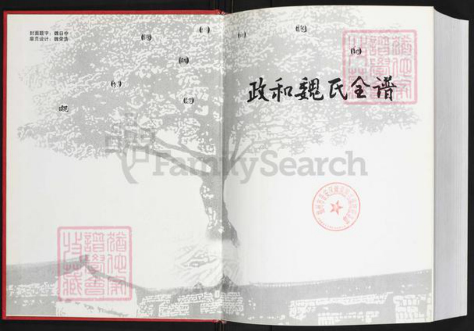 福建省南平市政和县魏氏九合堂族谱-政和魏氏全谱.pdf电子版插图1